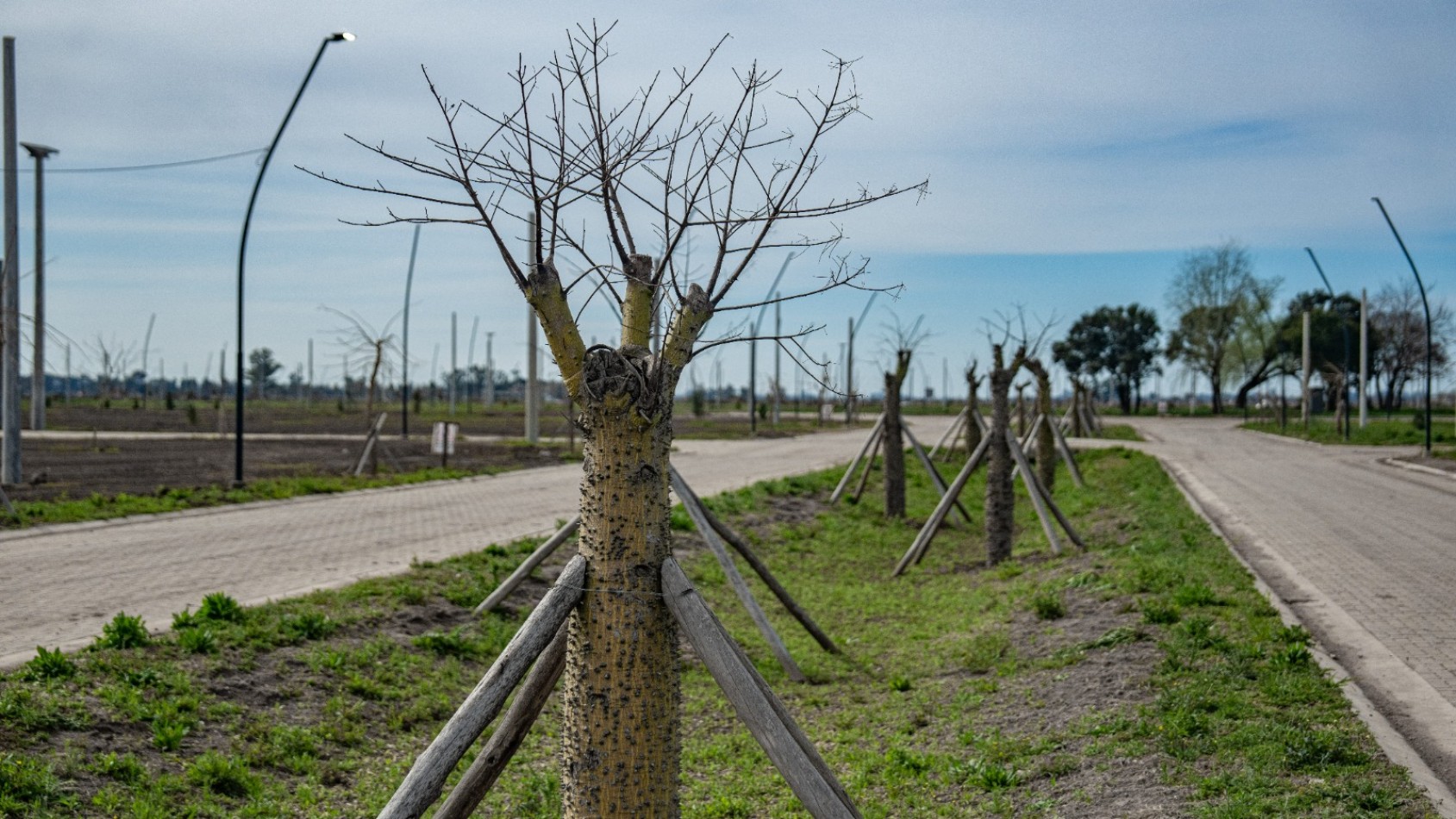 VENTA LOTES EN BARRIO ABIERTO RESIDENCIAL NEANDER - VILLA AMELIA - FINANCIACION! ENTREGA A CORTO PLAZO. PRECIOS ESPECIALES CONTADO