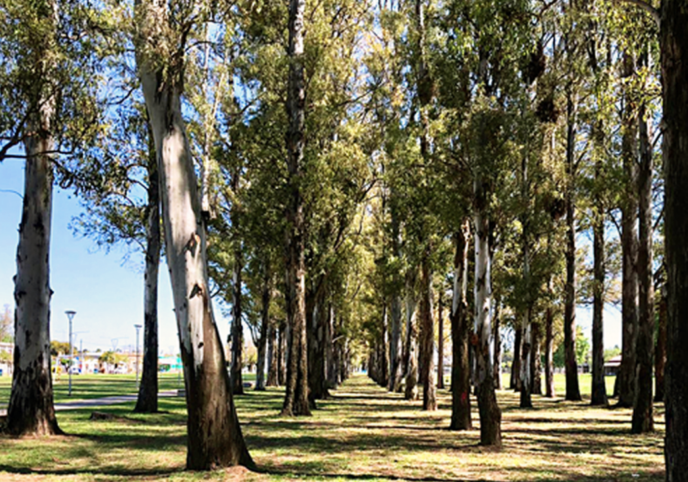 Terreno en venta en ECO LAGOS - 300m2