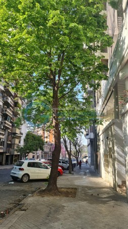 VENTA IMPECABLE DEPARTAMENTO AL FRENTE, TRES DORMITORIOS - ZONA RIO