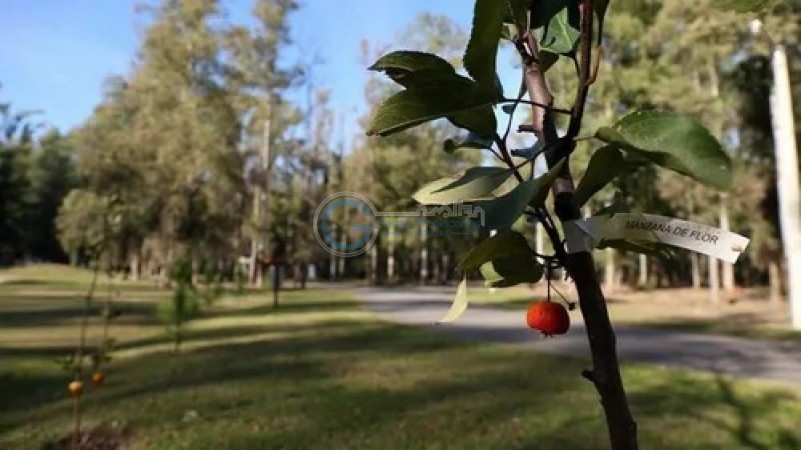 OPORTUNIDAD LOTE CAMPO TIMBO. Entrega y cuotas en pesos. Posesion inmediata