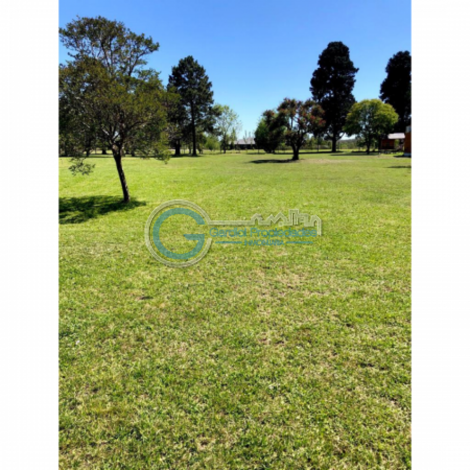 VENTA LOTE DE 484M2 EN OLIVEROS