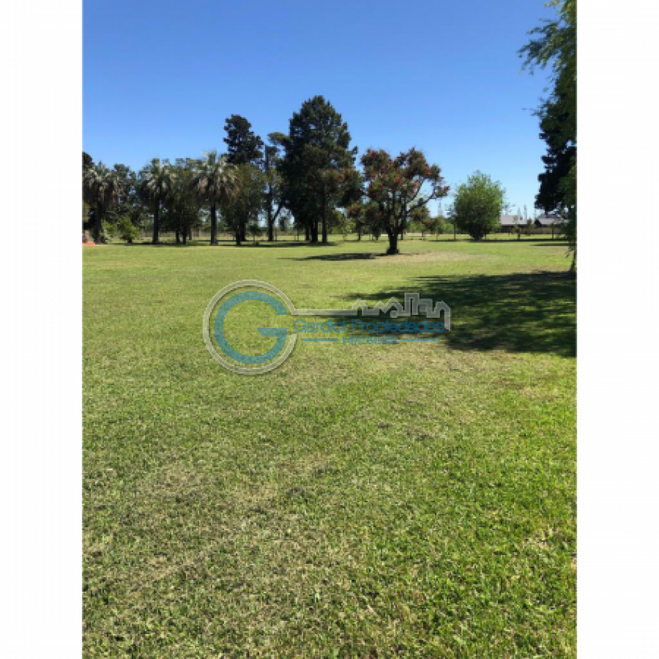 VENTA LOTE DE 484M2 EN OLIVEROS